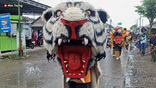 Kirab Meriah Barongan Macan New Pandawa Di Bulusari  Sayung