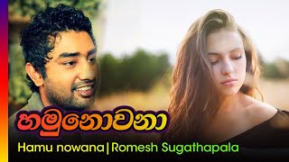 හමු නොවනා / රොමේශ් සුගතපාල - Hamu nowana lesa aye / Romesh sugathapala