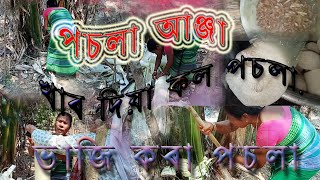 কল পচলা || kol Posola ||Assamese local food