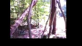 Lake Rhodiss 1.92 acres for sale (Valdese, NC)