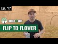 BuildASoil: TIME TO FLIP TO FLOWER  // COLORADO WORM CO CASTINGS (Season 6, Episode 17)