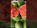 कलिंगड watermelon fruit shorts