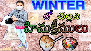 శీతాకాలం లో ఐస్ క్రీం ఎంజాయ్ చేశాము/andhrastyle చికెన్ కర్రీ /క్రికెట్ in అమెరికా@anukonaseemaammayi