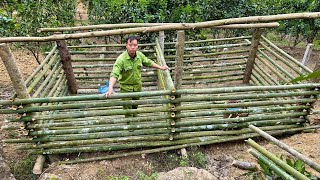 Jhony continues to expand his wild boar farm and waits for news from his sister.