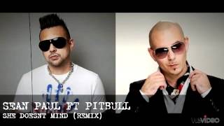 Sean Paul ft Pitbull - She doesnt mind Remix