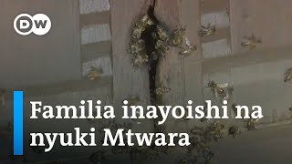 Ifahamu familia inayoishi na nyuki Tanzania