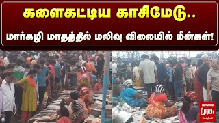 களைகட்டிய காசிமேடு.. மார்கழி மாதத்தில் மலிவு விலையில் மீன்கள்! | Malai Murasu | kasimedu | Chennai