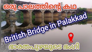 British Bridge -A historical landmark in Palakkad/ ഒരു പാലത്തിൻ്റെ കഥ/#palakkad #kerala