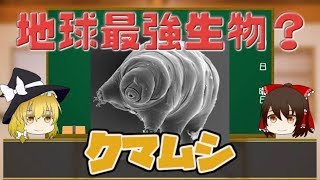 【ゆっくり解説】クマムシの恐ろしい耐性能力【へんないきもの#1】