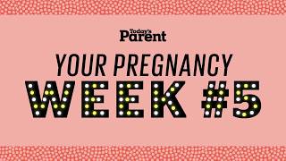 Your pregnancy: 5 weeks