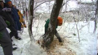 風の言葉（2015.1.11）～「夢の森づくり」　新潟県柏崎市／柏崎・夢の森公園～