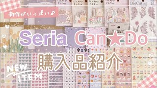 【セリア購入品】おしゃれでかわいい新商品がいっぱい♪｜文房具｜100均購入品｜キャンドゥ購入品