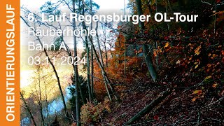 6. Lauf Regensburg OL-Tour 2024 Nittendorf| Bahn A | Headcam orienteering