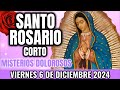 Santo Rosario Corto de hoy. Viernes 6 de Diciembre 2024 - Rosario Corto