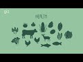 let s learn about organic agriculture what is organic agriculture