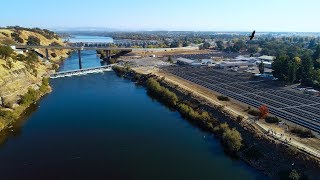 Rob on the Road: Nimbus Fish Hatchery