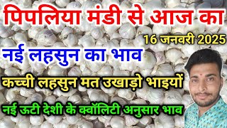 नई लहसुन का भाव आज का पिपलिया मंडी today new garlic rate Pipliya Mandi