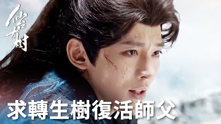 「仙台有樹」蘇易水找到復活方法！闖雷劫尋轉生樹復活沐清歌！ | WeTV