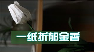 一纸折郁金香（花）