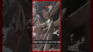 ঘন কুয়াশায় গাছের সঙ্গে বাসের ধাক্কা, নিহত ১ #satkhira #satkhiranews #thakurgaon #shorts