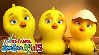 🐤🐥Los Pollitos Dicen Pio Pio + La Vaca Lola - Canciones Infantiles para niños - LooLoo Kids