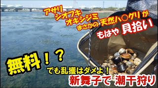 日本で２番目に汚い海水浴場の近くで潮干狩りしてきた【GW前企画】新舞子マリンパーク