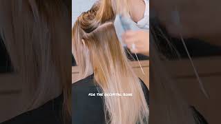 How To Section Hair Before Applying The Mix #tutorial #tips #guide