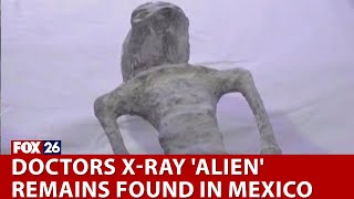 Doctors x-ray 'alien' remains found in Mexico