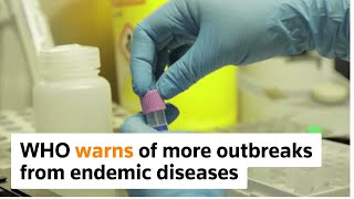 WHO warns of more outbreaks from endemic diseases