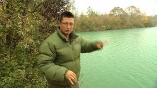 Gigantica carp lake swims - The Tree Line