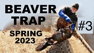 2023 Trapping Southern Wisconsin Beaver - Part 3