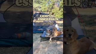 Too 5 camping essentials with dogs! Products linked in our Amazon storefront! #camping #dogcamping