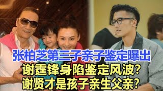 張柏芝第三子親子鑒定曝出，謝霆鋒身陷鑒定風波？謝賢才是孩子親生父親？娛樂名星#謝霆鋒#謝賢#張柏芝