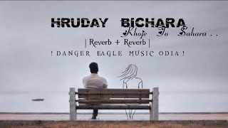 ହୃଦୟ ବିଚରା ଖୋଜେ ତୋ ସାହାରା |  HRUDAY BICHARA KHOJE TO SAHARA  | LOFI SONG | DANGER EAGLE MUSIC ODIA