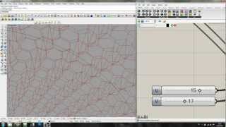 parametric gridshell
