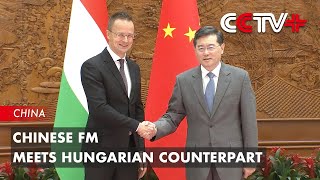 Chinese FM Meets Hungarian Counterpart