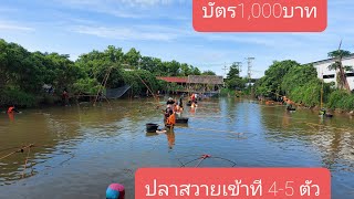 ยกยอบ่อเหมาปลาเยอะมาก EP.1/3 ปลาบึกและบิ๊กหวาย | Flook Find Fish EP.13