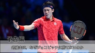 【予告編】錦織圭はなぜ，ジョコビッチに勝てなくなったのか 〜戦術的な観点から〜　【テニス戦術】