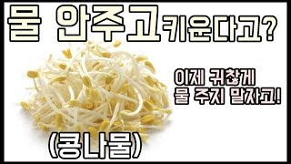 자동 급수 시스템!? 콩나물 키우는법! - 주말농장 [일꾼TV]