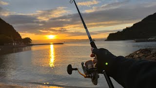 釣り初心者が天草の海で釣りしたら過去最高の大漁でした！