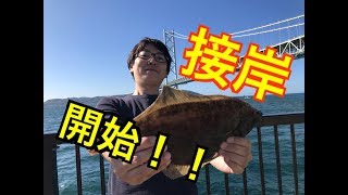 【接岸開始】カレイシーズン到来！fishingmax垂水店2019/11/02