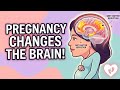 Pregnant Women’s Brains Shrink Grey Matter to Boost Motherhood