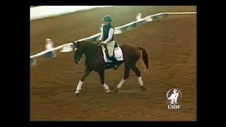 How Rider Position Affects the Young Horse