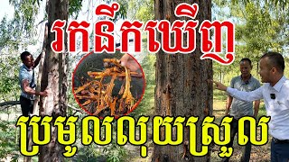 ចេះរកនឹកឃើញពូ ប្រមូលលុយស្រួល សូមសរសើរទំនងមែន