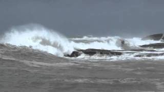 白浜見草（みぐさ）堤防ウラの地磯