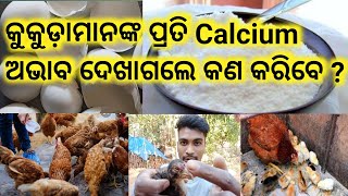 Calcium For Chicks Home made Organic medicine କୁକୁଡ଼ାମାନଙ୍କ ପ୍ରତି Calcium ଅଭାବ ଦେଖାଗଲେ କଣ କରିବେ ?