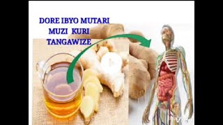 Dore uko tangawize yagufasha kwirinda covid-19|| Akamaro ka tangawize ||10 health benefits of ginger