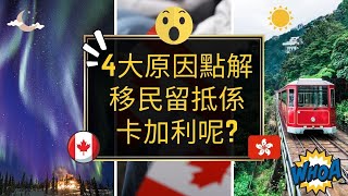 [移民卡加利] 4大原因點解移民不回流，選擇留抵係卡加利 😃 / 有什麼藉得人留低在卡加利   (#分享移民信息，#建立支持群體）