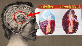 The Secret To Decalcifying The Pineal Gland - Here's How!