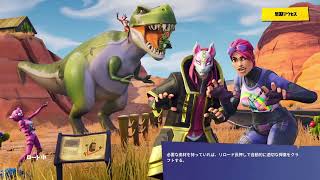 Fortnite 暇だから共同で世界を救う